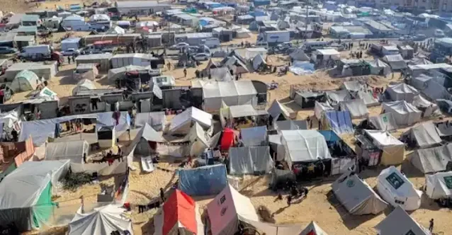 أمومة مع وقف التنفيذ.. الحضانة تضيع في خيام غزة