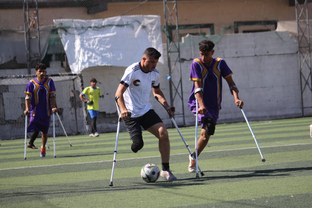 مصغرة 6