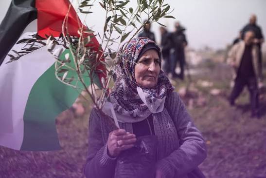 في يومها الوطني.. أرقام صادمة عن واقع المرأة الفلسطينية